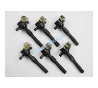 6x Bobina Accensione per BMW 3 5 7 Z3 X5 E36 E46 E39 E38 E53 Incl. di