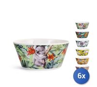 6x Bolo Exotic Assortito Cm14 H&H