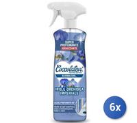 6x Bundle Coccolatevi Bloomalcool Orchidea & Iris Vapos ml. 750