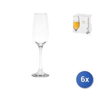 6x Calici In Vetro Trasparente Flute, 20 mber