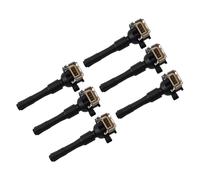 6x Kit Bobina D'Accensione Modulo Di Accensione for BMW E36 E46 E39 E38 E31 E53