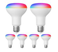 6x lampadine E27 LED RGB R80 bianco caldo - bianco freddo (2700 - 6300 K) 9,9 W [EEK: F]