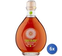 6x Multipack Aceto Due Vittorie Mele Ml 250