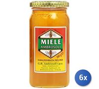 6x Multipack Ambrosoli Miele Gr 500
