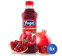 6x Multipack Yoga Succo Bottiglia Lt 1 Melograno