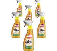 6x SONAX 02494000 Cockpitstar Pulizia Abitacolo Pulizia E Cura 750 ML