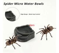 6x Tarantula Micro Water Bowl Mini Dish Piccola ciotola per Scorpione