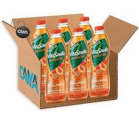 6X Vitasnella Depurathe Te alla Pesca con Erbe Depurative, Rosa Canina e Melissa Senza Zuccheri 1,25L [CAIYA® BOX da 6 Confezioni]