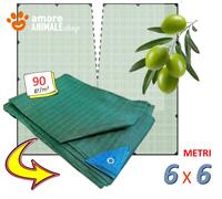 6x6 mt RETE RACCOLTA OLIVE con APERTURA → 90 gr/m² Telo ANTISPINA CON OCCHIELLI