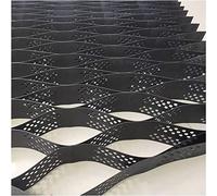 6x6m Permeablewith Fori di Drenaggio Rete di Stabilizzazione Personalizzabile per Cortili Esterni Percorsi Giardino Geo Cellule ad Alte Prestazioni per la Progettazione del Paesaggio