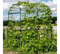 7.5 Ft Extra Tall Garden Arch Trellisfor Climbing Plants Outdoor Cucumber Tunnel Trellises Metal Squash Arbors Plant Support For For Raised Beds Tomatoes