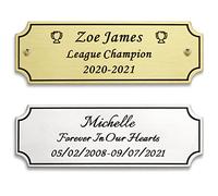 7.6 x 2.5 cm PiattoInciso Elegante Personalizzato, Targhetta Commemorativa Personalizzata per Trofeo, Cornici, Urna, Ottone o Placca Incisa Laser in Acciaio Inossidabile