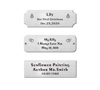 7.6 x 2.5 cm PiattoInciso Personalizzato, Targhetta Commemorativa Personalizzata per Trofeo, Cornici, Urna, Placca Incisa Laser in Acciaio Inossidabile
