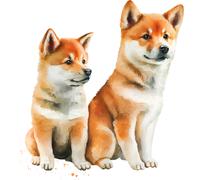 7 adesivi auto per cani Shiba Inu 30 x 30 cm personalizzabili con nomi di cani