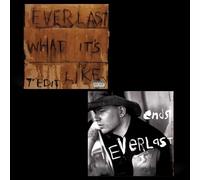 Everlast What It's Like/Ends (Vinyl LP) 7" Single