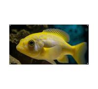 70,9 x 35,4 pollici Banner Appeso alla Parete Sfondo Banner Giallo Pesce Partito Sfondo Grande Festa Banner Poster Per Capodanno Laurea Matrimonio Compleanno Decorazione