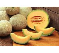 70 PINEAPPLE MELON SEEDS