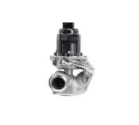 700474 Valvola EGR Valeo