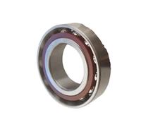 7009 7010 7011 7012 7013 7014 7015 7016 7017 cuscinetti a sfere a contatto obliquo for macchine utensili(AC P4 DBD,7013 65x100x18mm)