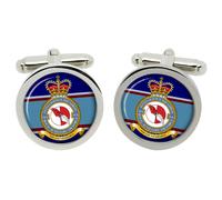 7010 VR Intelligence Squadron, Rauxf Gemelli IN Scatola