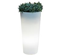 706 Q.TA' 1 VASO SOLARE FICUS LED D 29XH59CM RGB C/TELECOM