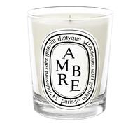 70g diptyque Ambre Mini candela profumata