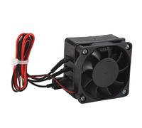 70W 12V Riscaldamento Dc Ventola Termostatico Uova Incubatrice Ptc