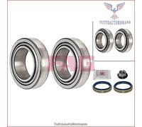713678010 Kit cuscinetto ruota Fag Posteriore per FORD SCORPIO