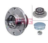 713690920 Kit cuscinetto ruota Schaeffler Fag