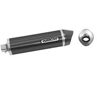 71689AKN - Terminale Scarico Arrow Race-Tech Dark BMW R 1200 GS (06-09)