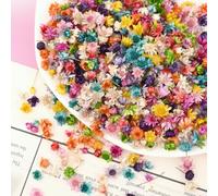 720 pezzi di piccoli fiori secchi, mini rami, piccole teste di fiori secchi a forma di stella per decorazioni floreali fai da te, scrapbooking, creazione di gioielli in resina