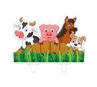 73587 - Candelina Torta Sagomata Fattoria New 11 x 8