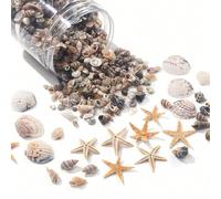 [740/1000 pezzi] Set di artigianato mini conchiglie e stelle marine - [Si prega di controllare le immagini SKU per confermare il prodotto che si acquista] Adatto per fai-da-te, gioielli fatti a mano, 