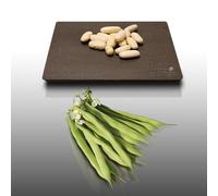 75 grammi di grain à semer - Le Grenier d'Abondance - HARICOT Nain Lingot - Phaseolus vulgaris