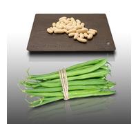 75 grammi di graini à semer - Le Grenier d'Abondance - HARICOT Nain Ferrari - Phaseolus vulgaris