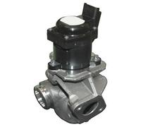 7518086R HOFFER Valvola ricircolo gas scarico-EGR per CITROËN,FIAT,FORD,MINI,PEU