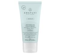 Paul Mitchell Awapuhi Wild Ginger Repair Intevsive Treatment trattamento intensivo per capelli rovinati 75 ml