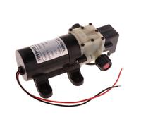 75PSI 4.5L / Pompa Idraulica Elettrica Nebulizzatore D' Pressione