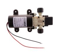 75PSI 4.5L / Pompa Idraulica Elettrica Nebulizzatore D' Pressione