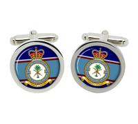 7644 Public Relations Squadron Gemelli RAuxAF In Scatola