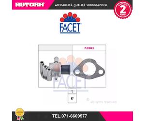 78105 Termostato, Refrigerante (FACET)