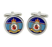 79 Squadron Gemelli RAF In Scatola