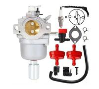 792036 Carburatore adatto for 33R877 594601 594605 697216 31P677 799256 795366 331877 698945 699475