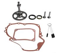 793880 Albero a camme adatto per 84005207 697110 795387 e relativi modelli di motore, include guarnizione e paraolio, adatto per motori piccoli serie 215000