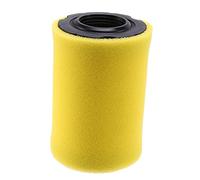 796031 Filtro per tosaerba con filtro 797704 594201 591334 796031 Miu13038 Gy21435 MIU 13963
