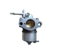 7HP-E4301-01 CARB per motore a gas da 7 CV