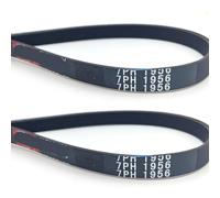 7PH1956, Compatibile Con BEKO, Cinghia Di Trasmissione For Asciugatrice, Cinghia Poly-V 7PH 1956 TKF8439 TKF8431