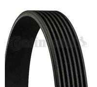 7PK1080 CONTINENTAL CTAM Cinghia Poly-V per ALFA ROMEO,LANCIA