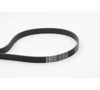 7PK1795 Cinghia Poly-V Continental Ctam