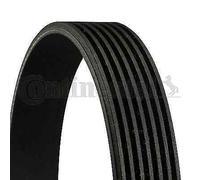 7PK2054 CONTINENTAL CTAM Cinghia Poly-V per ,ALFA ROMEO,CHRYSLER,OPEL,RENAULT,TO